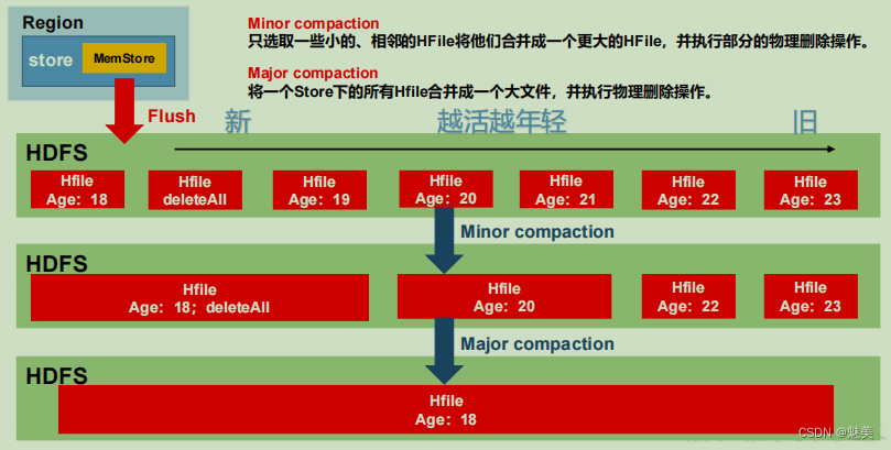 HBase 进阶,在这里插入图片描述,第5张