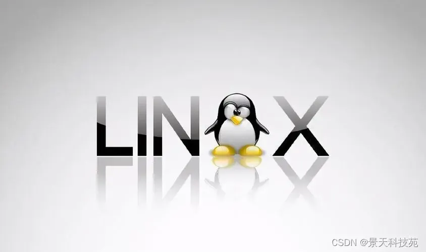 linux系统下如何使用nginx作为高性能web服务器,在这里插入图片描述,第1张