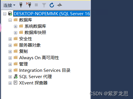 SQL Server2022版详细安装教程（Windows）,第29张