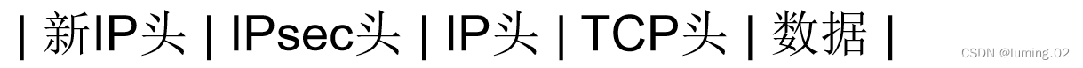 详解IP安全：IPSec协议簇 | AH协议 | ESP协议 | IKE协议,第5张