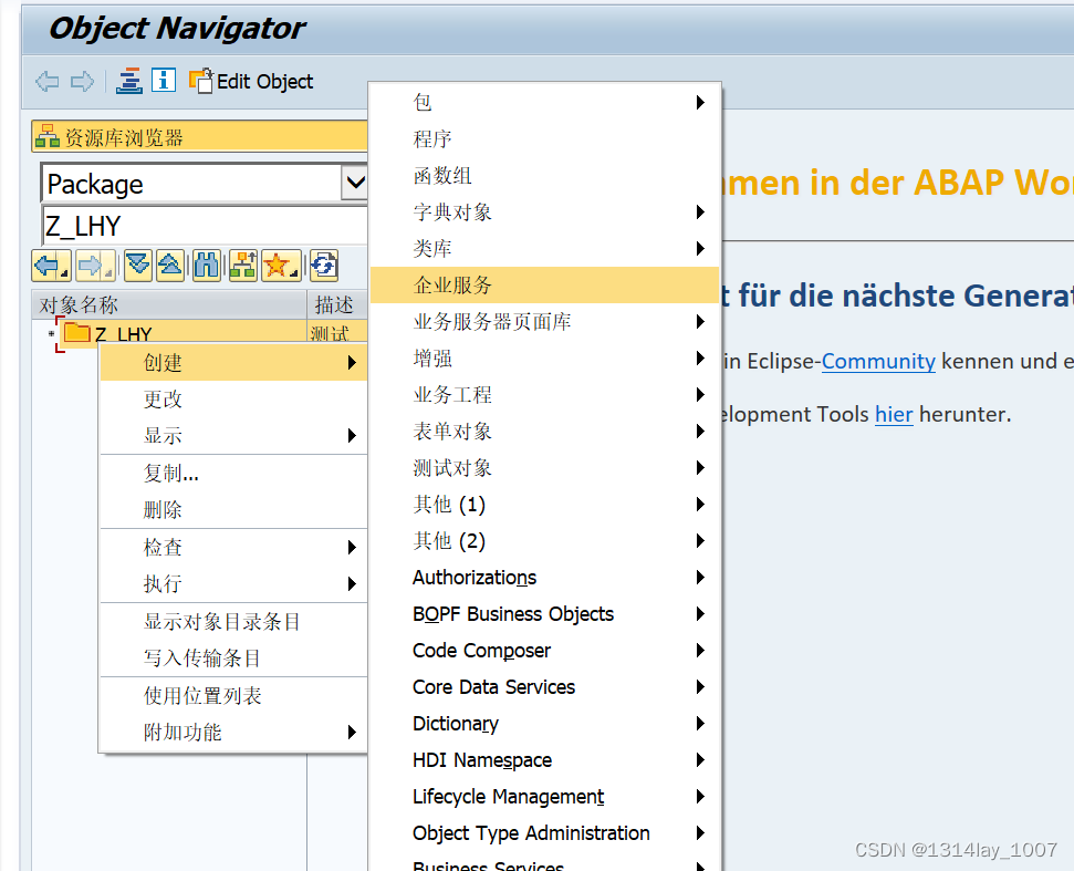 ABAP接口部分-Web Service提供者与消费者,在这里插入图片描述,第3张