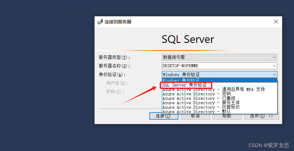 SQL Server2022版详细安装教程（Windows）,第27张