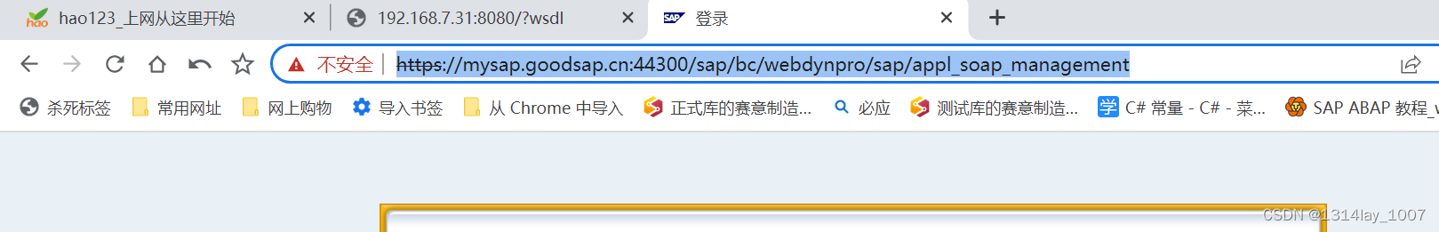 ABAP接口部分-Web Service提供者与消费者,在这里插入图片描述,第143张